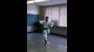 Fukyu Kata Dai Ni Okinawan Gojuryu Karate [upl. by Drarreg]