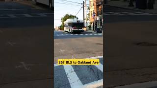 bee line bus 267 BL5  Harrison Ave amp Calvert St beelinebus youtubeshorts music commute BL5 [upl. by Eigroeg154]