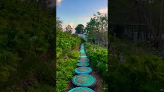 BEAUTIFUL FLOWER FARM IN LEON ILOILO🇵🇭 nature shortsvideo travel shortsfeed shorts [upl. by Roice217]