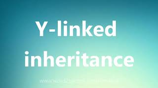 Ylinked inheritance  Medical Meaning and Pronunciation [upl. by Mcnamara130]