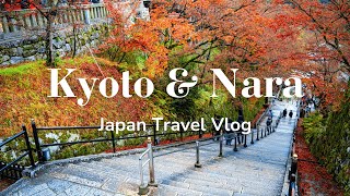 Trip to Kyoto amp Nara  First Time in Japan 🇯🇵  Travel Vlog [upl. by Zahara]