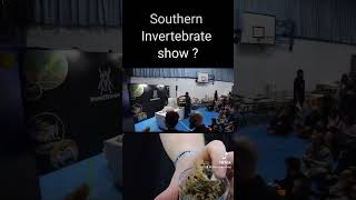 Southern Invertebrate Show  24th November httpswwwtickettailorcomeventsinvertshows1084540 [upl. by Hepsoj]