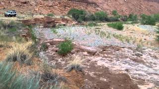 Flash Flood near Glen Canyon  Lake Powell [upl. by Enaelem265]