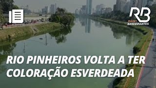 Algas voltam a se ploriferar no Rio Pinheiros e no Lago do Ibirapuera [upl. by Reyam163]