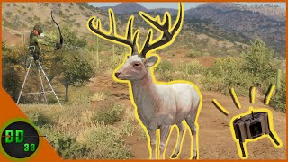 Calling In Our Biggest RARE Albino Whitetail Call Of The Wild [upl. by Habeh]