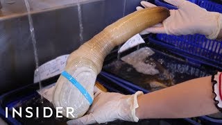 We Tried Geoduck — Worlds Biggest Burrowing Clam [upl. by Blasien]