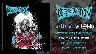 Deterioration  split 7quot with Meth Leppard 2018  Grindcore [upl. by Nnyled]