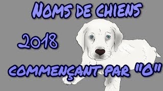 🐕🐶 Idées noms de chiens 2018 commençant par quotOquot 🐕🐶 [upl. by Anaibib]