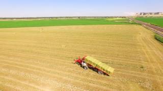 Stacking Massey Ferguson 2170 3x4 bales [upl. by Olmsted]