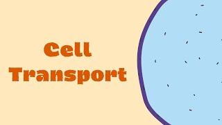 Types of Passive Transport [upl. by Estas]