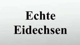 Echte Eidechsen [upl. by Eladnwahs]