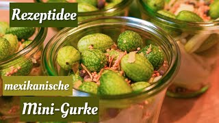 Mexikanische Minigurke 🥒 Rezeptidee 🥒 Gurken haltbar machen 🙌🏻 [upl. by Aneerol]