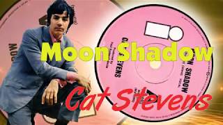 Cat Stevens  Moon Shadow [upl. by Teleya]