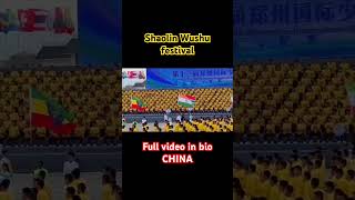 The 13th Zhengzhou International Shaolin Wushu Festival  Unbelievable Performances [upl. by Tteltrab]