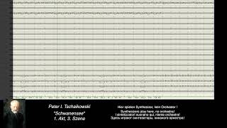 Tschaikowski Digital Schwanensee 1 Akt [upl. by Eulaliah]