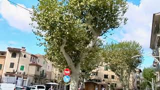 train station Soller  Mallorca  Spain  okt 24 [upl. by Laforge582]