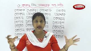 Learn bengali for All  Three Letter words Bengali Words Learn Bengali Phonics Bengali Alphabets [upl. by Kenwrick]