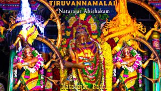 Tiruvannamalai Arunachaleshwarar  Natarajar Abishakam  Natarajar Patthu In Tamil  Annamalayar [upl. by Onnem]