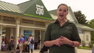 Field Trip to the Maryland Zoo PreVisit Video Middle and High School [upl. by Ahsitahs657]