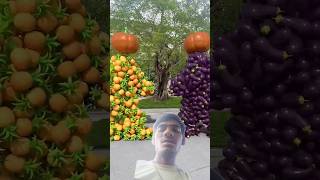 Fruit pair collision c4d animation special effects decompression [upl. by Orvie]