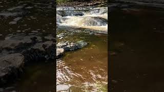 The Beauty of Stainforth Waterfalls [upl. by Sofko]