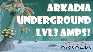 Arkadia Underground Mining  LVL3 Amp [upl. by Pega511]