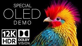 12K HDR Video ULTRA HD 120fps Dolby Vision  Special Oled Demo [upl. by Anaujait]