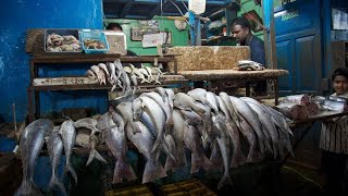 Kerala fish market 🐟🐬🐠🐡 FishMarket Fishvideo ViralVlog Bengalivlog Like subscribe [upl. by Clougher]