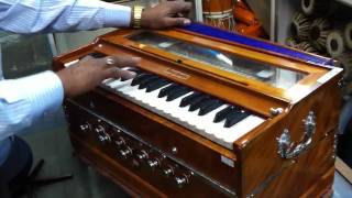 Harmonium BINA no 30B 20110302 [upl. by Eagle]