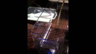 DIY water ionizer [upl. by Onyx]