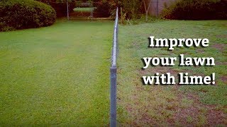 Applying Lime Treatments to your Lawn  Expert Lawn Care Tips [upl. by Nemrac]