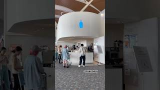 Get Your Buzz On With Blue Bottle Coffee At Shanghai Airport shorts [upl. by Nivloc766]