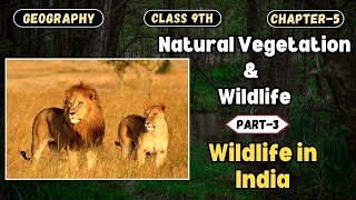 Natural Vegetation amp Wildlife  Wildlife in India Part3  CBSE Class 9th  Geography  Chapter5 [upl. by Ihtac]