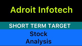 adroit infotech ltd stock target ✅ ADROIT INFOTECH STOCK NEWS  ADROIT INFOTECH ANALYSIS 081124 [upl. by Adorl]