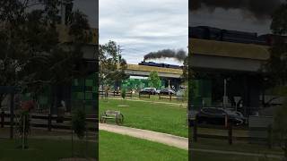 🚂 Steam Train Chuggin down the SkyRail 4K steamtrain train steamengine [upl. by Tryck]