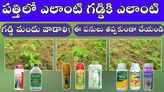 how to control cotton weed పత్తిలో ఎలాంటి గడ్డికి ఎలాంటి గడ్డి మందు వాడాలి hmr telugu agriculture [upl. by Terence]