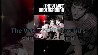 The Velvet Underground inspiration singer [upl. by Nihcas936]