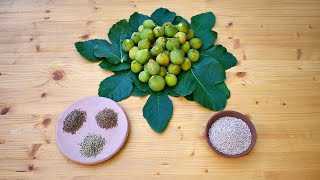 Fig Sweet  Ancient Roman Recipe [upl. by Giacobo]