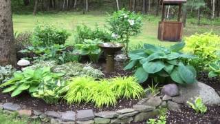 VIRTUAL GARDEN TOUR SHADE GARDEN SPRING VIEW [upl. by Tolland]