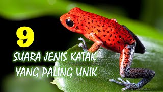 9 Suara Jenis Katak yang Paling Unik [upl. by Sommer]