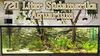 Pflegeleichtes 720 Liter AmazonasAquarium  Aus Asien wird Amazonien  Teil 2 [upl. by Olson]