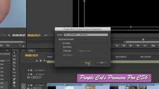 퍼플캣 프리미어 프로 CS6 강좌36 멀티캠 편집 [upl. by Braunstein]