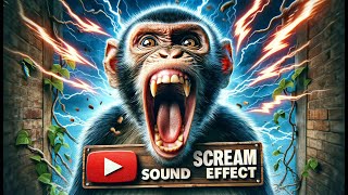 MONKEY SCREAM SOUND EFFECT ASMR  1 HOUR [upl. by Xuerd]