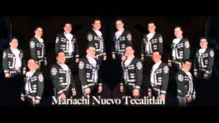 sonora y sus ojos negros mariachi nuevo tecalitlan [upl. by Leinnad]