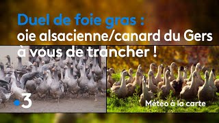 Duel de foie gras  oie alsacienne ou canard du Gers à vous de trancher   Météo à la carte [upl. by Aicercal]