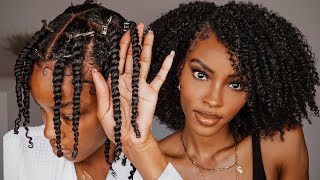 Perfect Twist Out for Natural Hair 2Strand vs 3Strand Technique [upl. by Eseerehs]