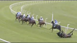 Horse Racing Death 233  Galitello at Ripon Racecourse [upl. by Nylauqcaj]