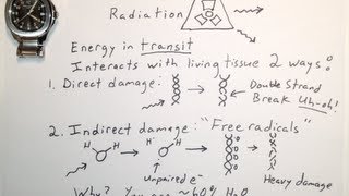 Two Ways Ionizing Radiation Damages DNA  One Minute Medical School [upl. by Stock]