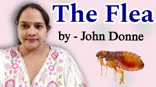 The Flea by John Donne  Analysis   English Literature Poem [upl. by Mcarthur965]