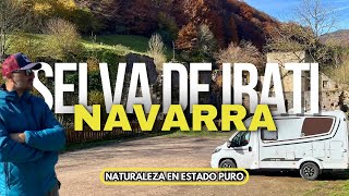 SELVA ⛰️ de IRATI 🍁 NAVARRA en 🚐 AUTOCARAVANA el destino VAN FRIENDLY del norte de ESPAÑA [upl. by Niwdog]